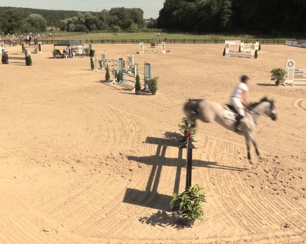Reitturnier Hemer-Oese an der Edelburg 2016