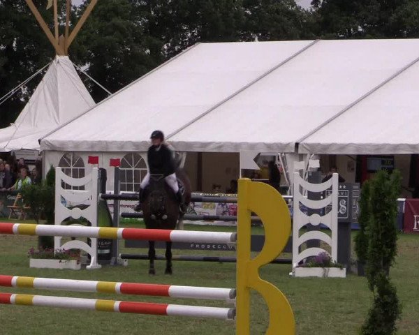 FEI Reitturnier Steinhagen (GER) 2016