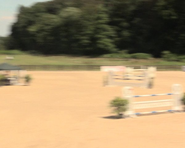 Reitturnier Hemer-Oese an der Edelburg 2016