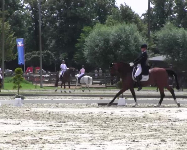 Reitturnier Münster-Roxel 2016
