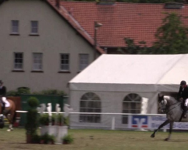 FEI Reitturnier Steinhagen (GER) 2016