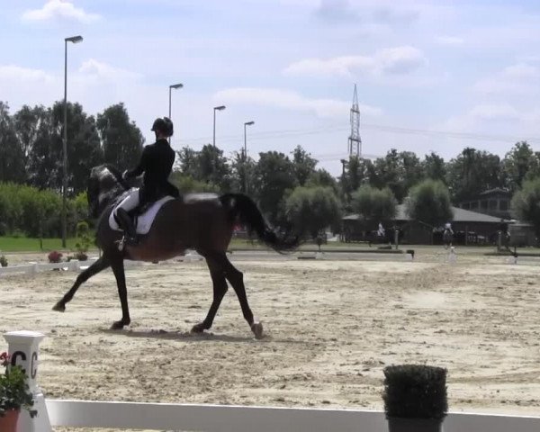 Reitturnier Münster-Roxel 2016