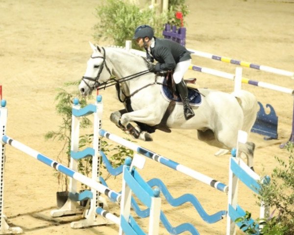 jumper Captain van Overis Z (Zangersheide riding horse, 2009, from Clintissimo 197 FIN) jumper Captain van Overis Z (Zangersheide riding horse, 2009, from Clintissimo 197 FIN)