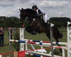 jumper Claudel (Holsteiner, 2006, from Carlos DZ)