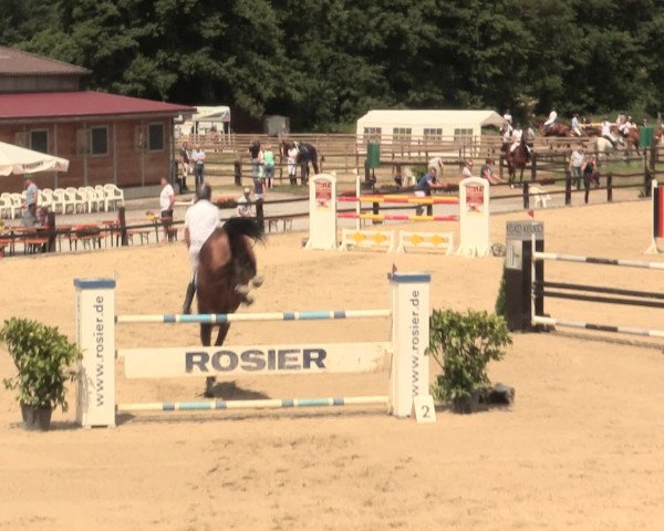 Reitturnier Hemer-Oese an der Edelburg 2016