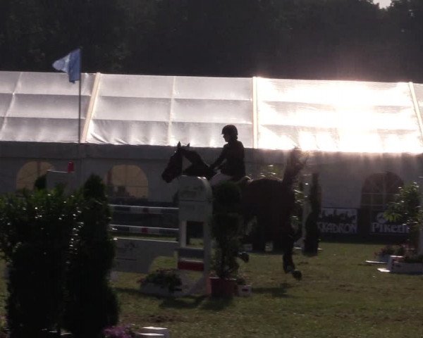FEI Reitturnier Steinhagen (GER) 2016