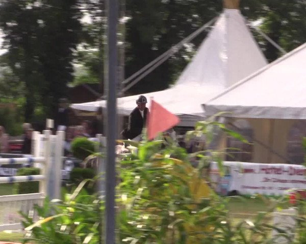 FEI Reitturnier Steinhagen (GER) 2016
