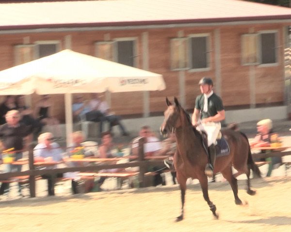 Reitturnier Hemer-Oese an der Edelburg 2016