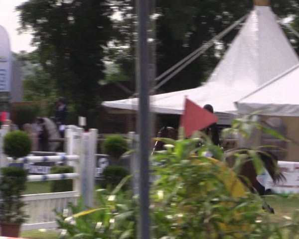 FEI Reitturnier Steinhagen (GER) 2016