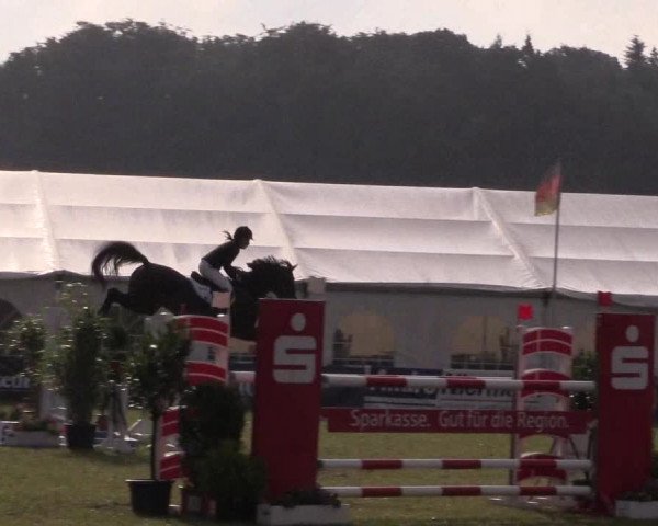 FEI Reitturnier Steinhagen (GER) 2016
