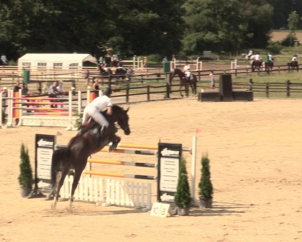Reitturnier Hemer-Oese an der Edelburg 2016
