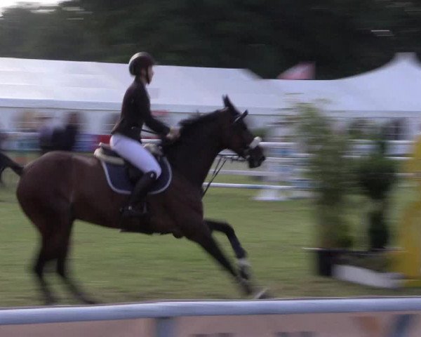 FEI Reitturnier Steinhagen (GER) 2016