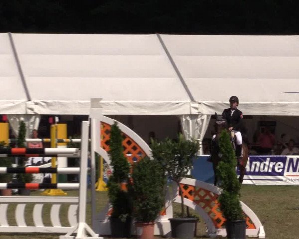 FEI Reitturnier Steinhagen (GER) 2016