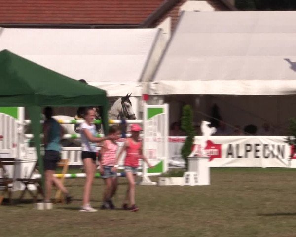 FEI Reitturnier Steinhagen (GER) 2016