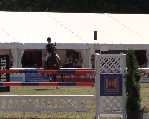 FEI Reitturnier Steinhagen (GER) 2016