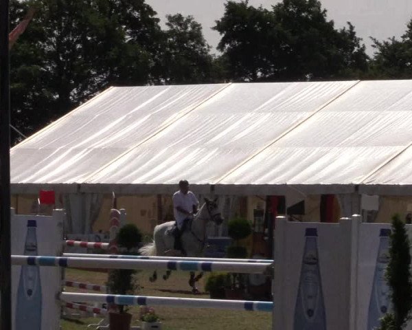FEI Reitturnier Steinhagen (GER) 2016