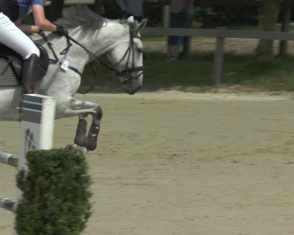 Reitturnier Münster-Roxel 2016