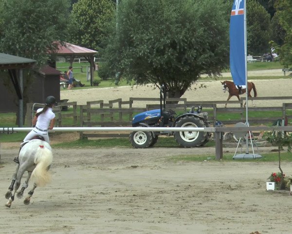 Reitturnier Münster-Roxel 2016