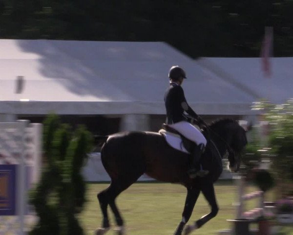 FEI Reitturnier Steinhagen (GER) 2016