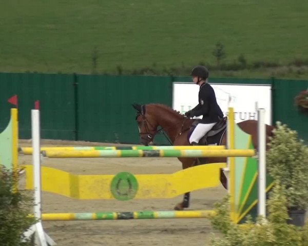 Reitturnier Lindlar-Süttenbach 2016