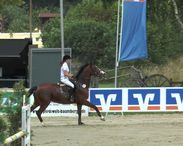 Reitturnier Münster-Roxel 2016