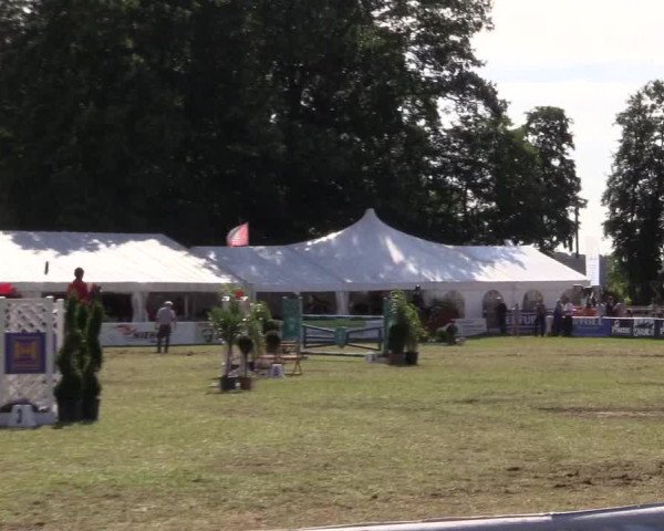FEI Reitturnier Steinhagen (GER) 2016