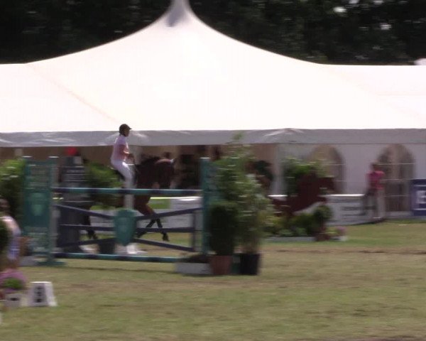 FEI Reitturnier Steinhagen (GER) 2016