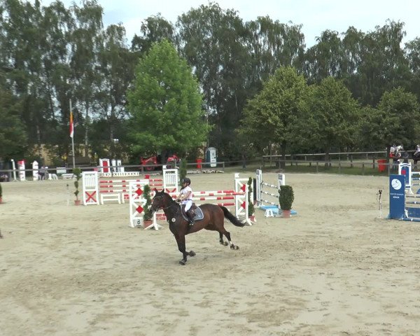 Reitturnier Münster-Roxel 2016