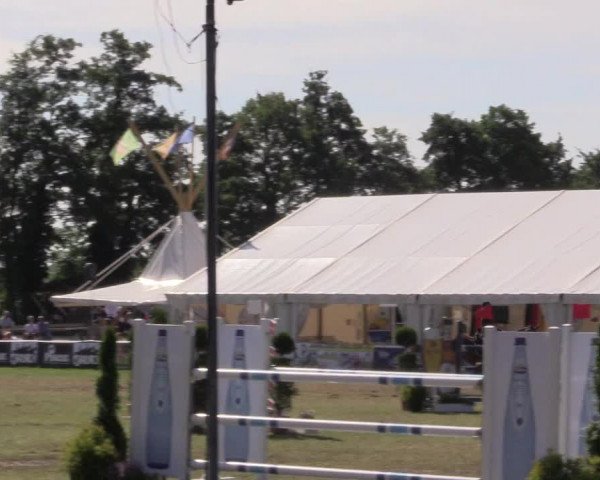 FEI Reitturnier Steinhagen (GER) 2016