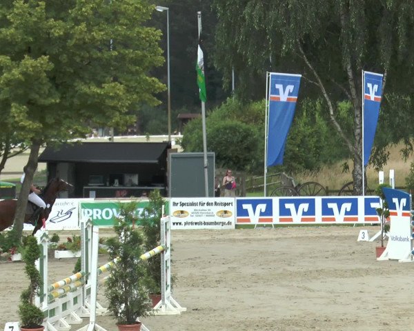Reitturnier Münster-Roxel 2016