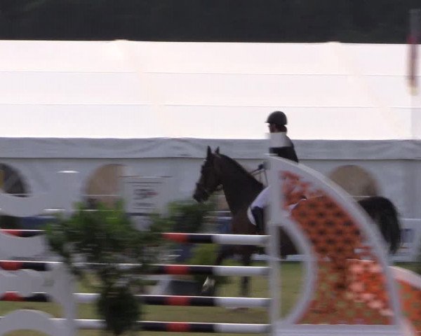 FEI Reitturnier Steinhagen (GER) 2016