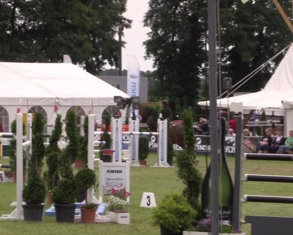 FEI Reitturnier Steinhagen (GER) 2016