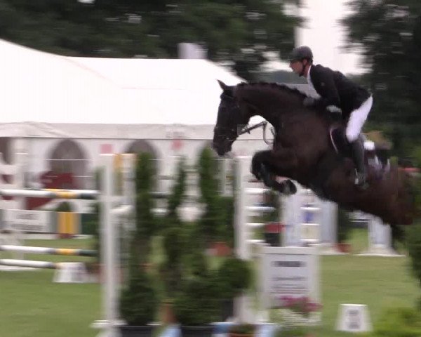 FEI Reitturnier Steinhagen (GER) 2016