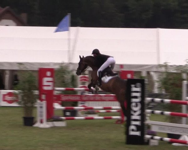 FEI Reitturnier Steinhagen (GER) 2016