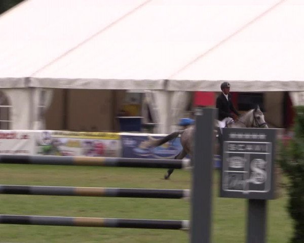 FEI Reitturnier Steinhagen (GER) 2016