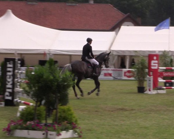 FEI Reitturnier Steinhagen (GER) 2016