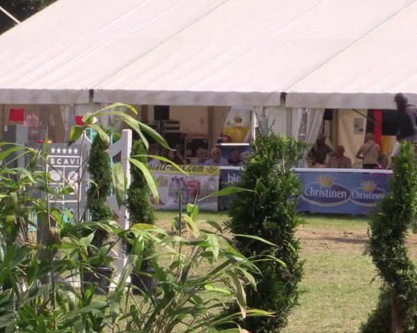 FEI Reitturnier Steinhagen (GER) 2016