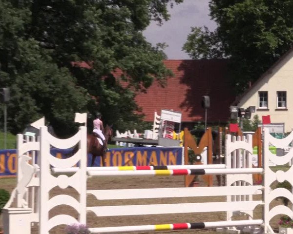 FEI Reitturnier Steinhagen (GER) 2016