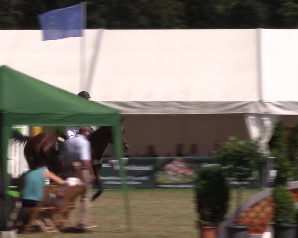FEI Reitturnier Steinhagen (GER) 2016