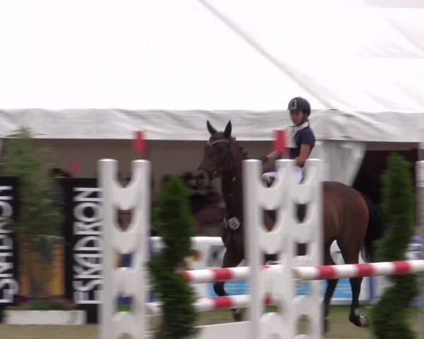FEI Reitturnier Steinhagen (GER) 2016