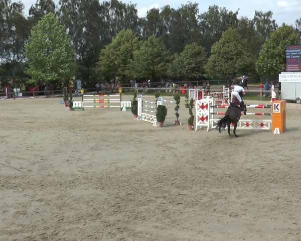 Reitturnier Münster-Roxel 2016