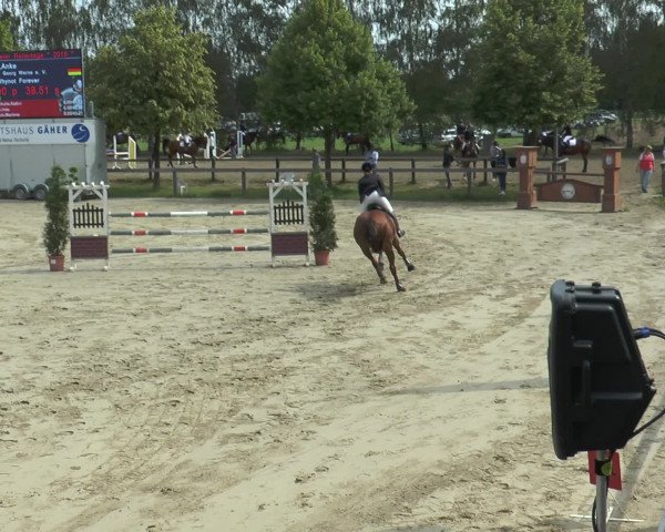 Reitturnier Münster-Roxel 2016