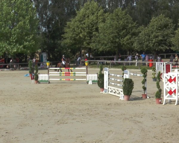 Reitturnier Münster-Roxel 2016