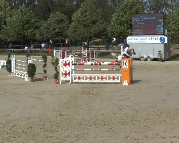 Reitturnier Münster-Roxel 2016