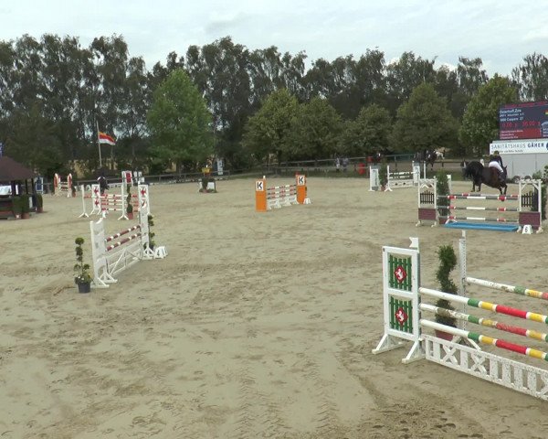 Reitturnier Münster-Roxel 2016