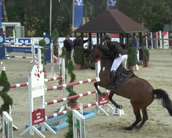 Reitturnier Münster-Roxel 2016