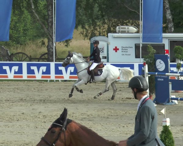 Reitturnier Münster-Roxel 2016