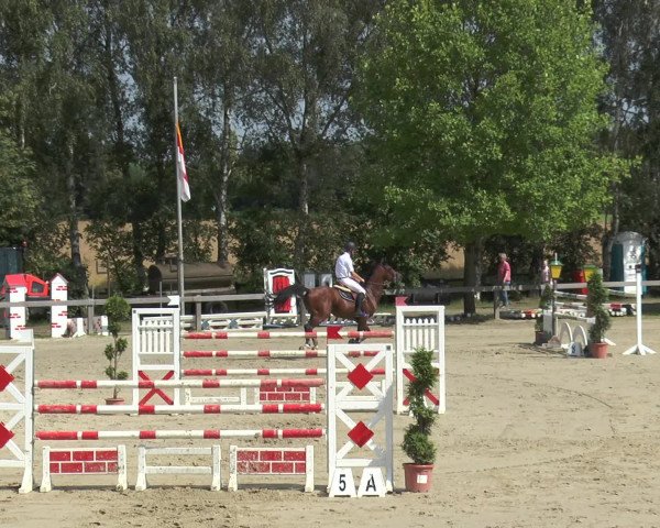 Reitturnier Münster-Roxel 2016