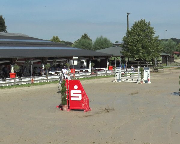 Reitturnier Münster-Roxel 2016