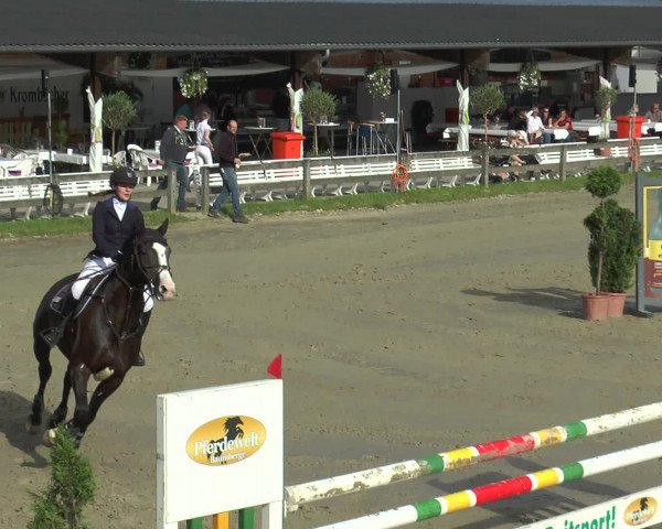 Reitturnier Münster-Roxel 2016